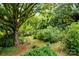 Private backyard with mature trees and a large yard at 866 Concord Rd, Davidson, NC 28036