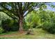 Large backyard with mature trees and lush greenery at 866 Concord Rd, Davidson, NC 28036
