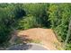 An aerial view showcasing a vacant lot bordered by trees and a cul-de-sac at 10607 Audubon Ridge Dr # 27, Cornelius, NC 28031