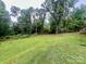 Spacious backyard with lush green grass and large trees at 469 Radio Rd, Taylorsville, NC 28681