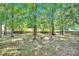 Wooded backyard with grassy area and trees at 6236 Old Corral St, Charlotte, NC 28277