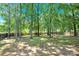 Spacious backyard with lush trees and wood fence at 6236 Old Corral St, Charlotte, NC 28277