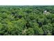 Community overview showcasing a mix of homes surrounded by trees at 7230 Timber Ridge Dr, Mint Hill, NC 28227