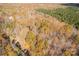 Aerial view of land with autumn trees and a home at 850 Mereva Rd, Smyrna, SC 29743