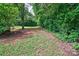 Wooded backyard with a grassy area at 1602 Huntmoor Dr, Rock Hill, SC 29732