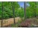 View of a creek running through a wooded area at 15610 Youngblood Rd, Charlotte, NC 28278