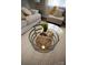 Stylish glass and metal coffee table with decor at 195 Edward Ave # 13, Concord, NC 28025