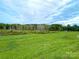 Large grassy lot with lush vegetation at 135 S Arcadian Way, Mooresville, NC 28117