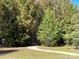 A walking trail through a wooded area at 8825 Wingard Rd, Waxhaw, NC 28173