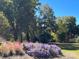 Landscaped area with mature trees and flowering plants at 8825 Wingard Rd, Waxhaw, NC 28173