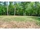 Open grassy backyard with lush trees offering plenty of privacy at 14941 Deer Hollow Dr, Gold Hill, NC 28071