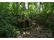 Image of an old stone arch feature, possibly a well, nestled in the woods at 3816 Alton St, Huntersville, NC 28078