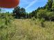 Overgrown lot with tall grass and trees at 0 Nc Hwy 73 W Hwy, Mount Gilead, NC 27306