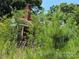 Brick house partially obscured by vegetation at 0 Nc Hwy 73 W Hwy, Mount Gilead, NC 27306
