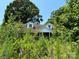 Brick house with overgrown vegetation, needs landscaping at 0 Nc Hwy 73 W Hwy, Mount Gilead, NC 27306