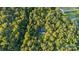 Aerial view showing a house nestled in a lush, wooded area at 9224 Maggie Robinson Rd, Waxhaw, NC 28173