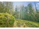 Wooded lot with gentle slope and lush green vegetation at 9224 Maggie Robinson Rd, Waxhaw, NC 28173