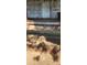 Porch shows significant damage and needs repair to steps and flooring at 215 S Ervin Ave, Newton, NC 28658