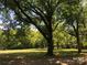 Wooded area with open field at 1270 Stanback Rd, Mount Gilead, NC 27306