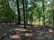 Wooded lakefront lot with privacy at 195 Agnew Rd, Mooresville, NC 28117