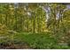 Expansive wooded lot showcasing dense vegetation and natural beauty at 241 Spring Shore Rd, Statesville, NC 28677