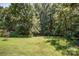 Private wooded area bordering the property at 4537 Sunrise Beach Rd, Catawba, NC 28609