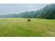 Open land with hay bales and a tree line in the background at 1 Beth Haven Church Rd, Denver, NC 28037