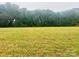 Open land with a grassy field and a tree line in the background at 1 Beth Haven Church Rd, Denver, NC 28037