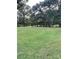 Expansive green lawn with mature trees at 1610 Sierra Rd, York, SC 29745
