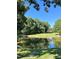 Serene pond surrounded by lush trees at 1610 Sierra Rd, York, SC 29745