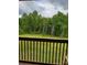 Peaceful backyard with lush greenery and trees at 3486 Mason Spring Dr, Lincolnton, NC 28092