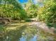 Creekside view with an ATV crossing a shallow area at 10250 Barringer Ct, Mount Pleasant, NC 28124