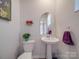 Small powder room with pedestal sink, arched mirror, and white fixtures at 13111 Cottage Crest Ln, Charlotte, NC 28273