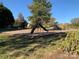 playground with swings and slides at 4016 Holly Villa Cir, Indian Trail, NC 28079