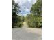 Long driveway leading to a wooded residential area at 701 Whippoorwill Ln, Concord, NC 28025