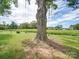 Serene backyard with tree swing and open fields at 8510 Olive Branch Rd, Marshville, NC 28103