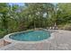 Inviting kidney-shaped pool surrounded by stone patio at 235 Grey Rd, Davidson, NC 28036