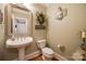 Charming powder room with pedestal sink, toilet, and decorative mirror at 2029 Landry Ln, Rock Hill, SC 29732