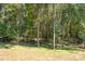 Spacious lot with mature trees and a grassy area at 4815 Chadwick Dr, Concord, NC 28025