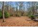 Large backyard with mature trees and wooded area at 3216 High Ridge Rd, Charlotte, NC 28270