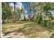 Private backyard with lush greenery and trees at 736 Cedar St, Rock Hill, SC 29730