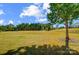 Large backyard with grassy area and tree at 5021 Henshaw Rd, Waxhaw, NC 28173