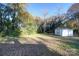 Large backyard, mostly grass, with a shed at 103 Brent St, Wadesboro, NC 28170