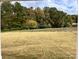 Open backyard with new sod and tree line, offering privacy and potential landscaping at 1044 Bull Dog Ln, Wingate, NC 28174