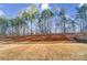 Wooded area with newly planted trees and ground cover at 5234 Verona Rd # 79, Charlotte, NC 28213