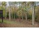 Spacious backyard with mature trees and a creek at 3979 Stoney Creek Dr, Lincolnton, NC 28092