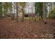 Wooded backyard with a view of the home and deck at 3979 Stoney Creek Dr, Lincolnton, NC 28092