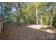 Wooded backyard with leaf-covered ground at 2643 Rolling Hills Dr, Monroe, NC 28110