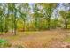 Large backyard with a shed and chain link fence, surrounded by lush trees at 11429 Spreading Oak Ln, Charlotte, NC 28226