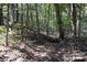 Wooded area with fallen logs and trails at 1111 & 1075 Turkey Creek Ridge Rd, York, SC 29745